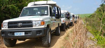 Picture of Island Safari