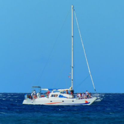 Picture of Catamaran Cruise