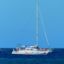 Picture of Catamaran Cruise